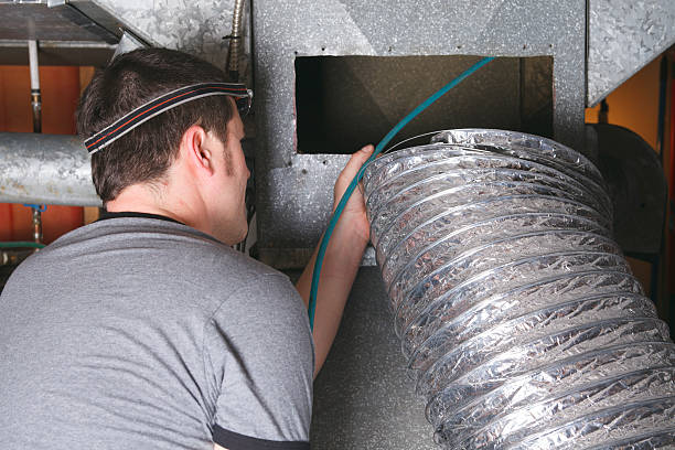 Best Dryer Vent Cleaning Services  in Wickenburg, AZ