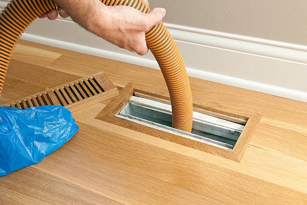 Best Air Duct Mold Removal  in Wickenburg, AZ