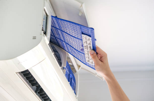 Best Affordable Air Duct Cleaning  in Wickenburg, AZ